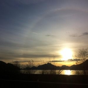 Meet your Posher, Rose